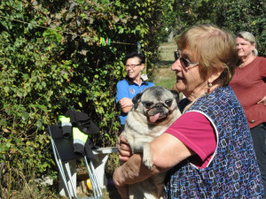 Každý z pejsků má jiné potřeby.