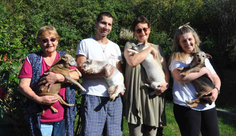 Trojice žen pomohla již více než čtyřicítce psů.