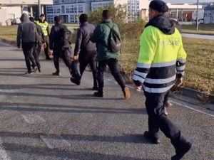 Policisté na Břeclavsku chytili převaděče se čtyřicítkou Syřanů. Migranty poslali zpět na Slovensko