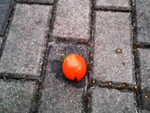 Důchodkyně z Brna zasypala souseda rajčaty, protože si myslela, že slyší zvuky