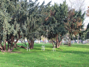 Brno má nejlepší park v Česku. Moravské náměstí s mořem uchvátilo odborníky