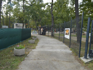 Brno má konkurenci. Hodonínskou zoo čeká rekonstrukce, po níž vznikne i psí útulek