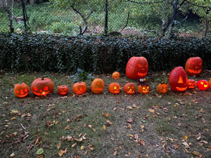 Dýně jsou dílo Satana, brání se kněz, který dětem v Kurdějově rozšlapal výzdobu