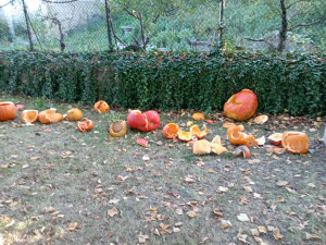 Dýně jsou dílo Satana, brání se kněz, který dětem v Kurdějově rozšlapal výzdobu