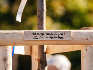 Dobrovolníci na Brněnsku sázeli stromy na obnovu krajiny, tisící strom zasadil prezident Pavel