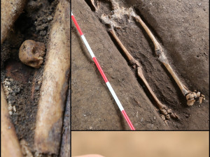 Archeologové přišli s postřehem. Lidi na jižní Moravě napadala zákeřná infekce