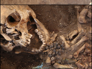 Archeologové přišli s postřehem. Lidi na jižní Moravě napadala zákeřná infekce