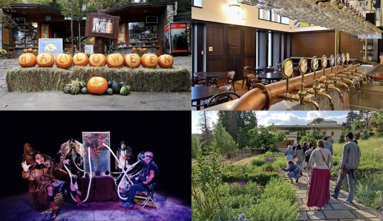 Kam o víkendu na jižní Moravě? Na dlabání dýní a hororovou show