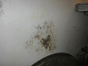 Slavná brněnská cukrárna utrpěla ostudu. Jste bordeláři, slyšeli od inspekce