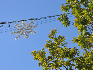 V Brně vyhlíží oslavu Vánoc. Lákají na bruslení, zónu s jídlem nebo výhled z kola