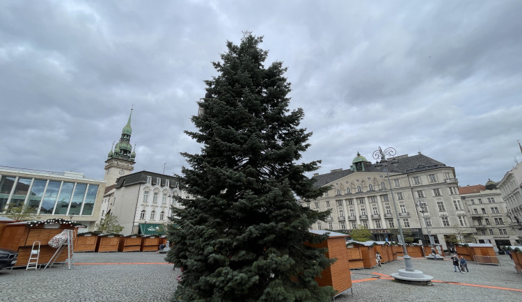 Brněnský Zelný trh zdobí vánoční jedle. Na konkurenta z náměstí Svobody se čeká