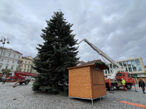 Brněnský Zelný trh zdobí vánoční jedle. Na konkurenta z náměstí Svobody se čeká