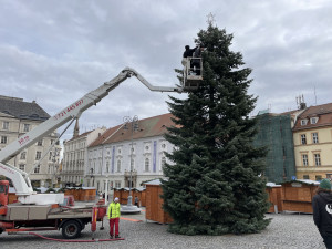 Brněnský Zelný trh zdobí vánoční jedle. Na konkurenta z náměstí Svobody se čeká