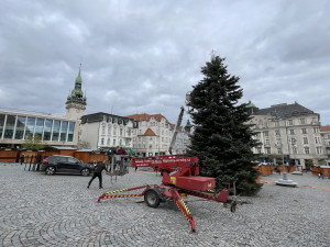 Brněnský Zelný trh zdobí vánoční jedle. Na konkurenta z náměstí Svobody se čeká