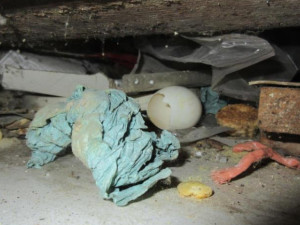 Jsou to poklady, a ne svinčík, brání se brněnská kavárna, kterou zdrbali potravináři