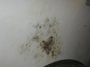 Jsou to poklady, a ne svinčík, brání se brněnská kavárna, kterou zdrbali potravináři