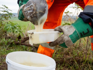 Silničáři na jižní Moravě vysazují stromy do gelu ze syrovátky, aby je udrželi v kondici