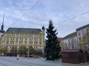 Brno se dočkalo. Na náměstí Svobody lidé obdivují vánoční jedli