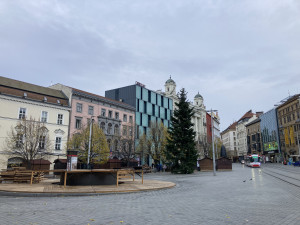 Brno se dočkalo. Na náměstí Svobody lidé obdivují vánoční jedli