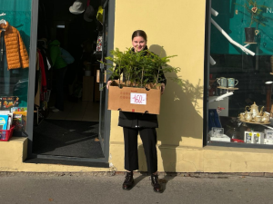 Pořiďte si na Vánoce místo stromečku jedli v květináči, vyzývají brněnští ekologové