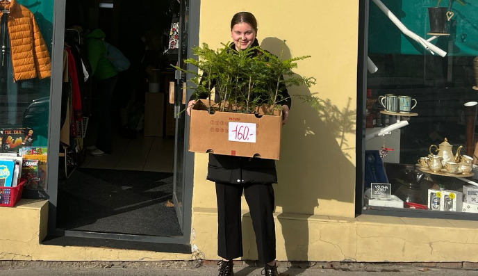 Pořiďte si na Vánoce místo stromečku jedli v květináči, vyzývají brněnští ekologové