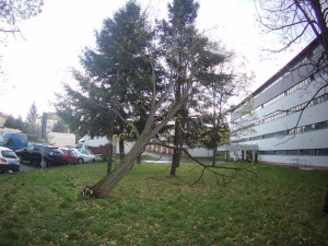 V Brně řádil silný vítr. Popadaly stromy, tašky ze střechy i ploty