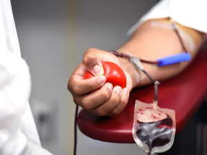 Zaměstnanci brněnských firem darovali rekordní množství krve