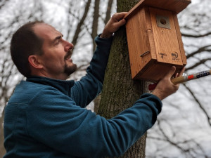 V Brně se postarají o ptáky i netopýry. Postaví jim sedmdesát domečků