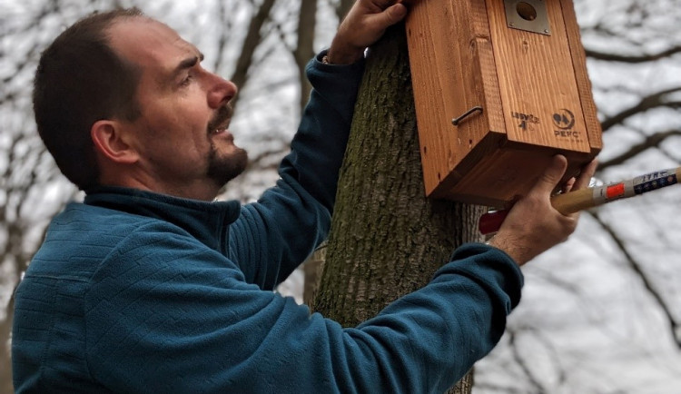 V Brně se postarají o ptáky i netopýry. Vyvěsí pro ně sedmdesát budek