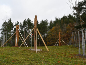 Do Blanska se vrátily pokácené akáty. Tamní umělec z nich vyrobil sochy