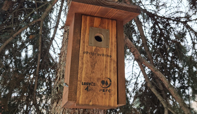 Kdepak ty ptáčku hnízdo máš? V jedné z nově vyvěšených budek přece.