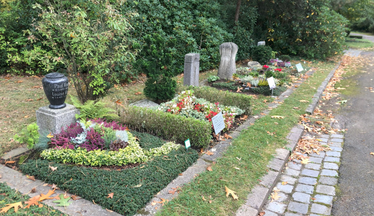Hřbitovy v Brně vyzdobí trvalky. Město tak ušetří peníze i přírodu