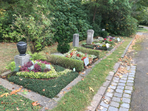 Hřbitovy v Brně vyzdobí trvalky. Město tak ušetří peníze i přírodu