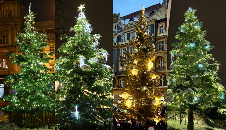ANKETA: Která městská část má letos ten nejkrásnější vánoční strom?