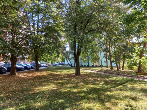 Lidé v Blansku chtějí nový park z místa, kam chodí pejskaři