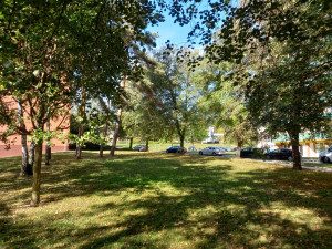 Lidé v Blansku chtějí nový park z místa, kam chodí pejskaři