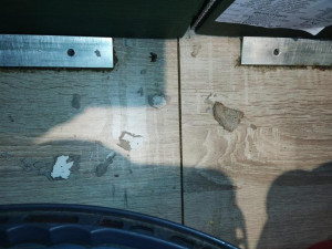 Inspekci ve znojemském Lidlu zarazily kbelíky na vodu. Stály mezi rajčaty