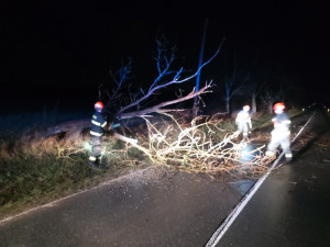 Na jižní Moravě popadaly kvůli větru desítky stromů. Nejvíce na Blanensku