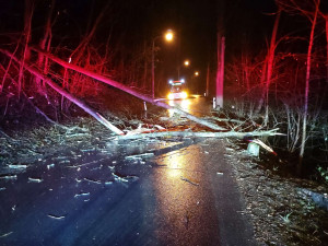 Na jižní Moravě popadaly kvůli větru desítky stromů. Nejvíce na Blanensku