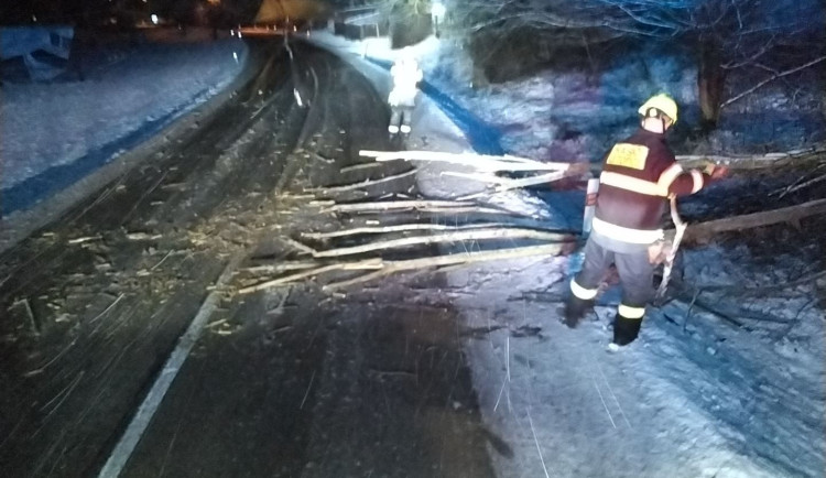 Na jižní Moravě popadaly kvůli větru desítky stromů. Hasiči mají