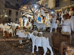 Velbloudi, koledy a klanění u betléma. Brňané v průvodu oslavovali Tři krále (doplním)