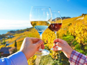 Jihomoravské víno ve světě loni zabodovalo. Vinaři si odvezli přes tisíc medailí