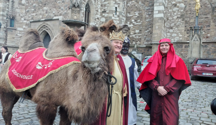 Velbloudi, koledy a klanění u betléma. Brňané v průvodu oslavovali Tři krále (doplním)