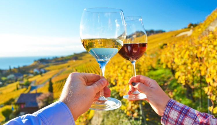 Jihomoravské víno ve světě loni zabodovalo. Vinaři si odvezli přes tisíc medailí