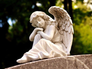 Na brněnském hřbitově postaví památník pro dárce těl. Vedle umístí také hrob na ostatky