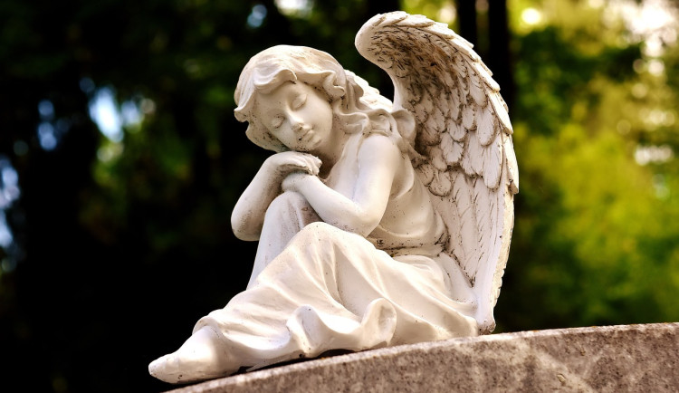 Na brněnském hřbitově postaví památník pro dárce těl. Vedle umístí také hrob na ostatky