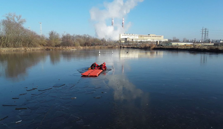 Lidé nahlašují přimrzlé labutě na vodních plochách. Opeřenci tam jen odpočívají, upozorňují hasiči