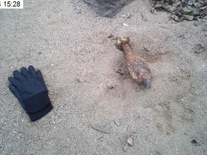 Část pláže u Brněnské přehrady se musela uzavřít. Žena tam našla minometný granát