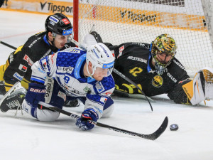 Hokejisté Brna udolali Litvínov 3:1, Severočechy porazili poprvé v sezoně