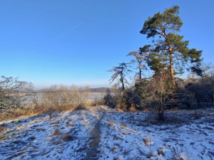 Okolí oblíbeného rybníka u Břeclavi zarůstá. Nadšenci vodní plochu zvelebí a obnoví pláž